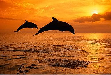 免费奇幻网游《Warlander》实机演示 Steam页面上线